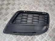 Gitter vorne unten BMW X3 (F25) xDrive 30 d 8050446