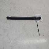 Heckklappe Gasdruckfeder links JAGUAR XF (X250) 3.0 D 8X23406A42AC