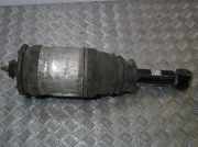 Stoßdämpfer links hinten Land Rover Discovery IV (L319) 22245460