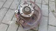 Radnabe hinten Citroen C5 I Break (DE)