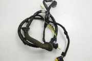Kabel Tür Nissan X-Trail II (T31) 24126JH10A