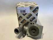 Wasserpumpe Ford Escort 81 Express (AVA) 5024603