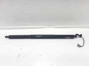 Heckklappenöffnungszylinder FORD KUGA II (DM2) 1.5 TDCi CV44-S402A55-AB