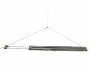 Heckklappe Gasdruckfeder rechts RENAULT ESPACE IV (JK0/1_) 2.0 dCi (JK01, JK02, JK1J, JK1K) 8200021974