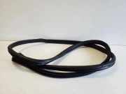 Dichtungsgummi der hinteren Tür (an der Karosserie) NISSAN QASHQAI III (J12) 1.3 DIG-T