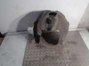 Innenkotflügel hinten rechts AUDI A6 Avant (4G5, C7, 4GD) 2.0 TDI 4GO810172A