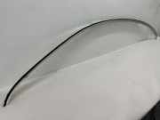 Dachleiste links VW PASSAT CC (357) 2.0 TDI