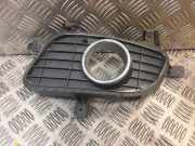 Gitter vorne unten MERCEDES-BENZ A (W169) A 150 (169.031, 169.331) a1698850722 1698850722