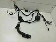 Kabel Tür vorne rechts AUDI Q5 (FY) 2.0 TFSI quattro 80A971030E