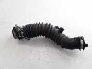 Schlauch für Luftversorgung Renault Grand Scenic II (JM) 165750001R