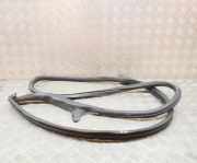 Türdichtung vorne rechts AUDI A5 (F53) 2.0 TFSI 8W6831708