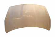 Motorhaube Hyundai i20 (PB)