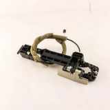 Türinnengriffrahmen hinten links NISSAN X-TRAIL (T32_) 2.0 dCi (T32) L1G4GA