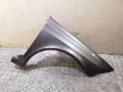 Kotflügel vorne rechts RENAULT LAGUNA II Grandtour (KG0/1_) 2.0 16V IDE (KG0N)