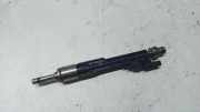 Einspritzdüse BMW X3 (F25) xDrive 28 i 10213541