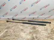 Heckklappe Gasdruckfeder links BMW X1 (E84) sDrive 18 d 2990136 51242990136