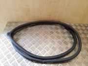 Türdichtung Toyota Corolla Verso (E12J1)