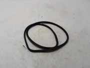 Türdichtung BMW 5er (G30, F90) 7366401