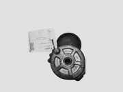 Riemenspanner CITROËN C4 Picasso I (UD_) 2.0 HDi 138 16183P