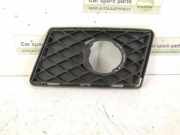 Gitter vorne unten MERCEDES-BENZ GLK (X204) 220 CDI 4-matic (204.984, 204.997) A2048853723 2048853723