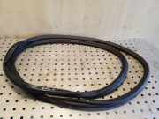 Türdichtung Audi A8 (4H)