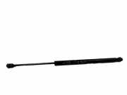 Heckklappe Gasdruckfeder rechts RENAULT SCÉNIC II (JM0/1_) 1.9 dCi 6615P10625N 8200377199