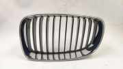Vorderer oberer Gitter BMW 1 Coupe (E82) 118 d 7179655A