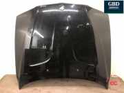 Motorhaube BMW X3 (E83) 41003449411