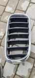 Vorderer oberer Gitter BMW X5 (F15, F85) xDrive 50 i 7316054