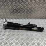 Stoßdämpfer hinten links