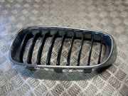 Vorderer oberer Gitter BMW 3 Gran Turismo (F34) 335 d xDrive 7294803
