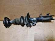 Stoßdämpfer vorne rechts NISSAN X-TRAIL (T31) 2.0 dCi E4302JG71A