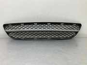 Gitter vorne unten BMW 3 Touring (E91) 320 d 7134074