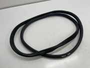 Türdichtung BMW 3er (G20, G28, G80)