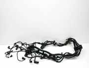 Motor Kabelbaum BMW X5 (F15, F85) xDrive 50 i 8631970 8631971