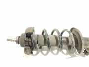 Stoßdämpfersatz Vorderachse Renault Trafic III Kasten (FG) 93458052R