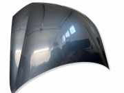 Motorhaube VW GOLF PLUS (5M1, 521) 1.6 TDI