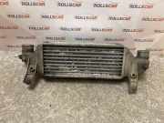 Kühlerluftumlenker FORD FOCUS Turnier (DNW) 1.8 TDCi XS4Q9L440AA