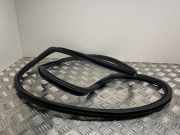 Türgummi rechts vorne Audi A6 Allroad (4G)