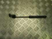 Gasfeder im Kofferraum links DACIA DUSTER 1.6 16V 904520004R