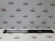 Heckklappe Gasdruckfeder links RENAULT MEGANE Scenic (JA0/1_) 1.9 dT (JA0K, JA0Y) 6493515N