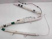 Airbag Dach rechts Ford C-Max II (DXA) BAMPT1624