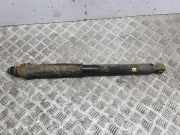 Stoßdämpfer hinten links NISSAN LEAF (ZE1) Electric