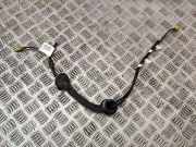 Kabelbaum RENAULT KOLEOS II 2.0 dCi 175 4WD Z203 282451703R