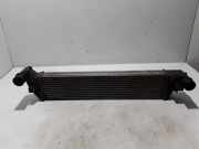 Ladeluftkühler RENAULT ESPACE IV (JK0/1_) 2.0 dCi (JK02, JK03) 8200301883