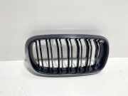 Gitter Grill vorne rechts BMW X5 (F15, F85) sDrive 25 d