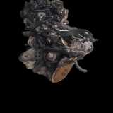 Motor AUDI Q5 (8R) 2.0 TDI quattro CGL