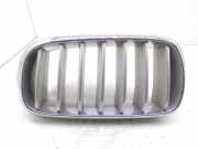 Kühlergrill oben BMW X5 (F15, F85) 7316075