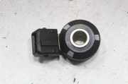 Klopfsensor NISSAN JUKE (F15) 1.6 A2C53344012