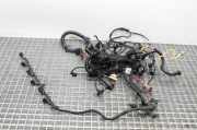 Motor Kabelbaum BMW 6 Cabrio (E64) 635 d 75501188025 7801042